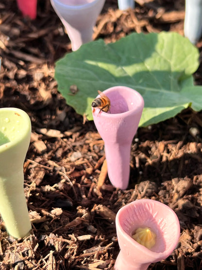 Bee Drinking Cup™ - Attract and nourish bees